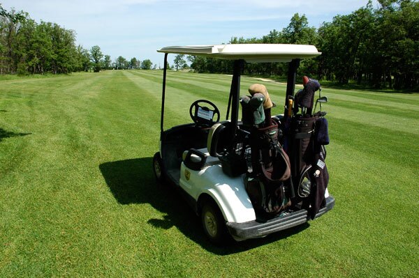Golf Buggy